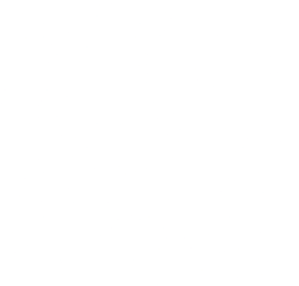 Bichudo