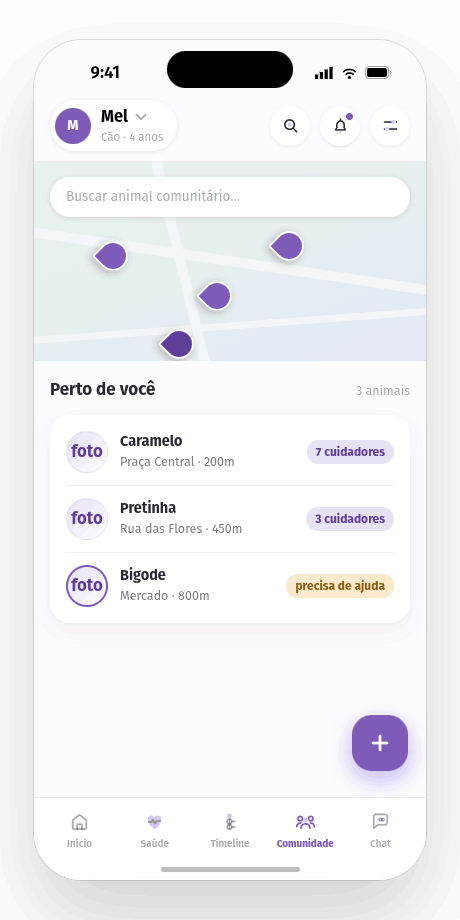 Animais comunitários no Bichudo