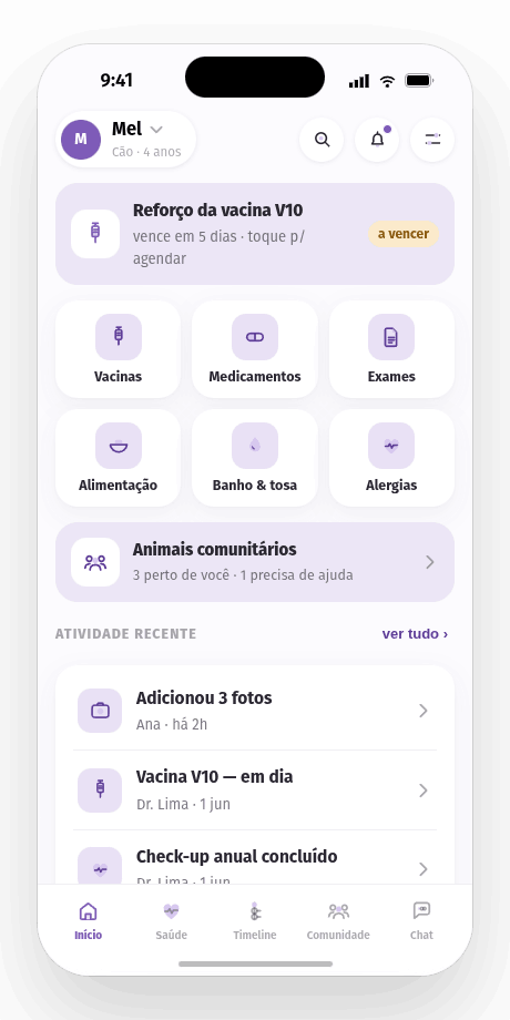 Tela inicial do Bichudo